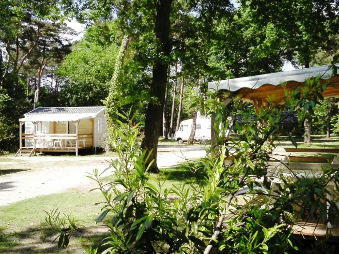 Camping - Saint-Chéron - Ile de France - La Forêt d'Azalée