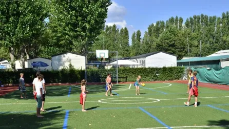 Camping - Grimaud - Provence-Alpes-Côte d'Azur - Holiday Marina