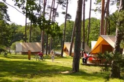 Camping - Rambouillet - Ile de France - Rambouillet