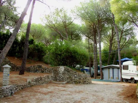 Camping - Marina di Bibbona - Toscane - Il Capannino