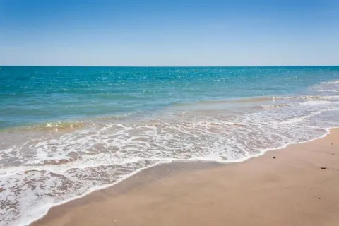 Camping - Marina di Bibbona - Toscane - Il Capannino
