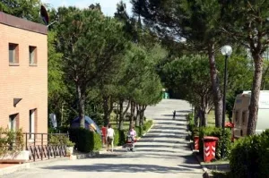 Camping - Troghi - Toscane - Il Poggetto