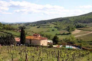 Camping - Barberino di Mugello - Toscane - Il Sergente