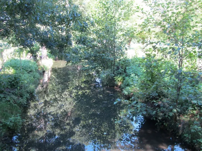 Camping - Sansais - Poitou-Charentes - Camping Ilot Du Chail