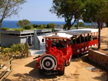 Camping - Calonge - Costa Brava - Internacional de Calonge