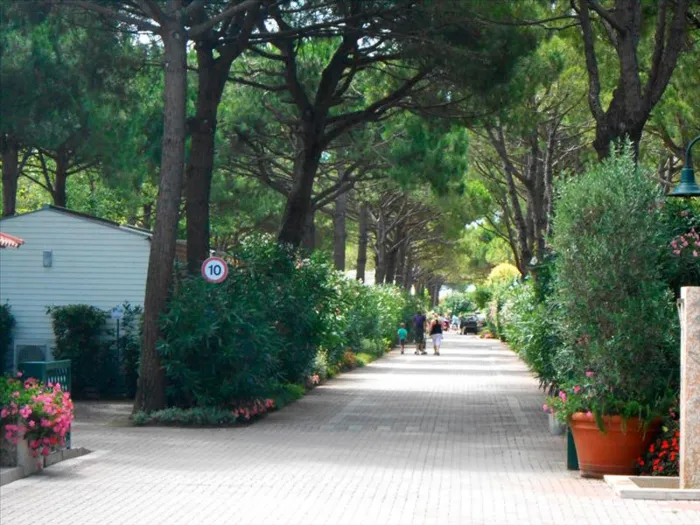 Camping - Cavallino Treporti - Vénétie - Italy