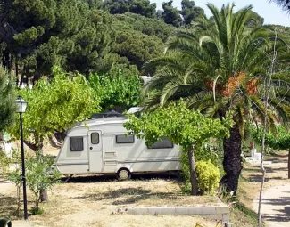 Camping - Sant Pol de Mar - Costa Brava - Kanguro