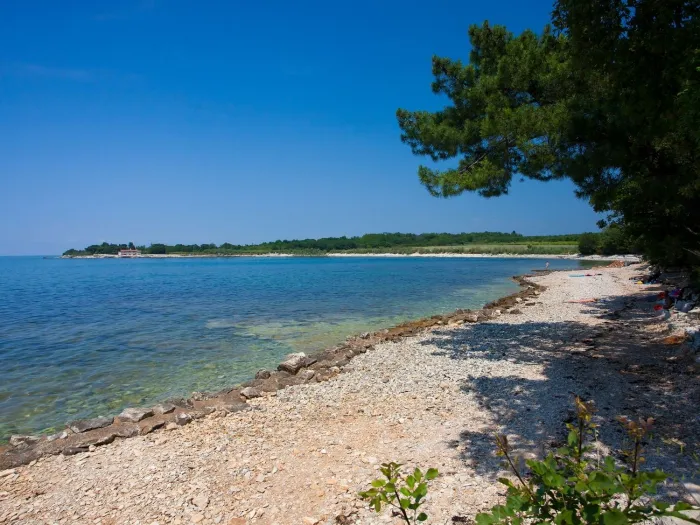 Camping - Novigrad - Istrie - Kastanija
