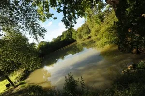 Camping - Colméry - Bourgogne - Kimaro Farmhouse