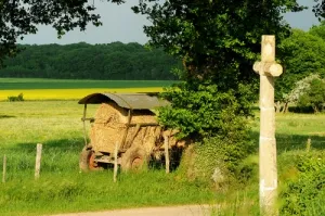 Camping - Colméry - Bourgogne - Kimaro Farmhouse