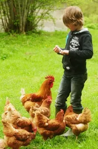 Camping - Colméry - Bourgogne - Kimaro Farmhouse