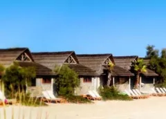 Camping - Ramatuelle - Provence-Alpes-Côte d'Azur - Kon Tiki