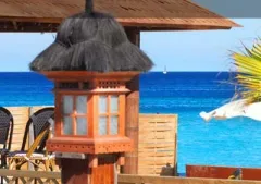 Camping - Ramatuelle - Provence-Alpes-Côte d'Azur - Kon Tiki