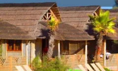 Camping - Ramatuelle - Provence-Alpes-Côte d'Azur - Kon Tiki