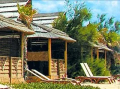 Camping - Ramatuelle - Provence-Alpes-Côte d'Azur - Kon Tiki