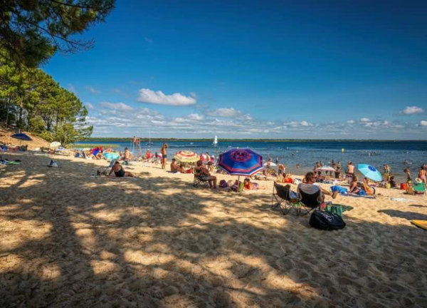 Camping - Hourtin - Aquitaine - L'Orée du Bois - Image #51
