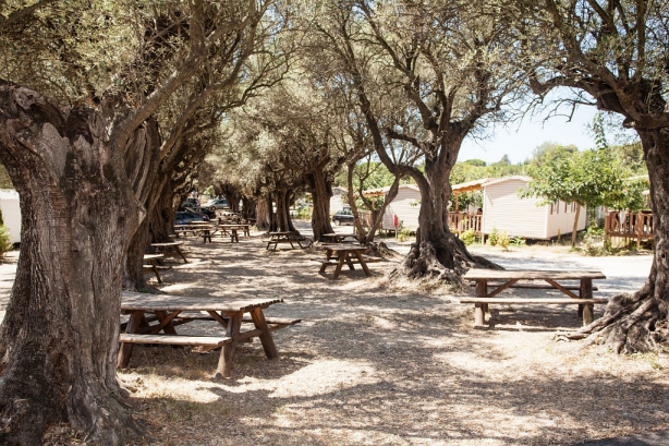 Camping - La Ciotat - Provence-Alpes-Côte d'Azur - La Baie des Anges - Image #5