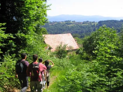 Camping - Cunlhat - Auvergne - L'Émeraude du Lac