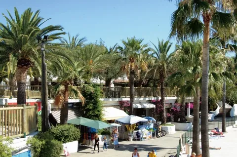 Camping - Fréjus - Provence-Alpes-Côte d'Azur - La Baume - La Palmeraie