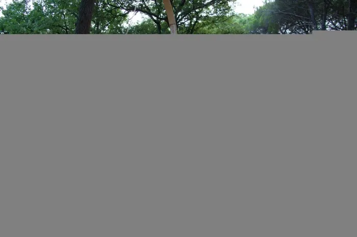 Camping - Fréjus - Provence-Alpes-Côte d'Azur - La Baume - La Palmeraie