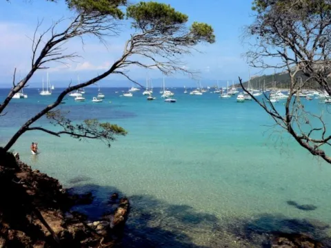 Camping - Hyères - Provence-Alpes-Côte d'Azur - La Bergerie Plage