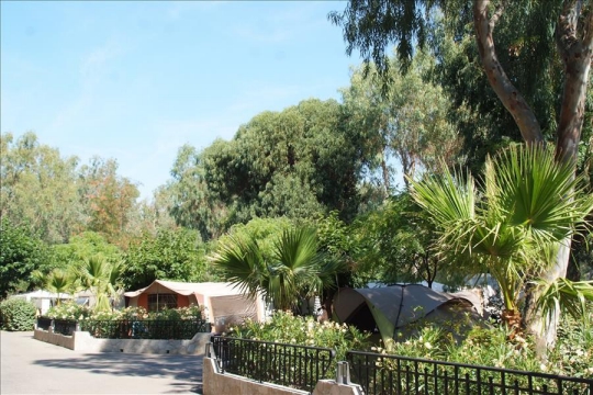 Camping - La Brûlade - La Londe-les-Maures - Provence-Alpes-Côte d'Azur - France Camping - La Brûlade - La Londe-les-Maures - Provence-Alpes-Côte d'Azur - France