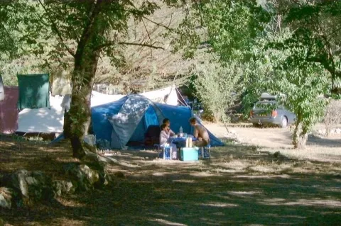 Camping - Tourrettes sur Loup - Provence-Alpes-Côte d'Azur - La Camassade