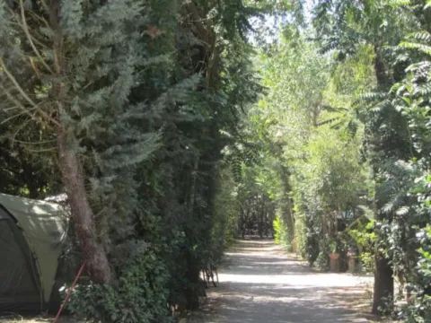 Camping - Salamanque - Castille-et-León - La Capea