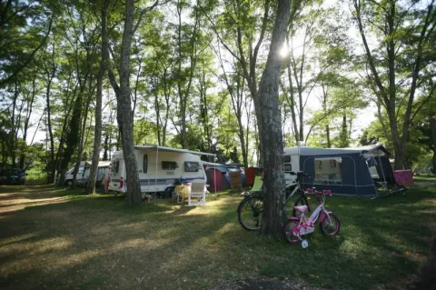 Camping - Ruoms - Rhône-Alpes - La Chapoulière