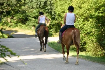 Camping - Anneyron - Rhône-Alpes - La Châtaigneraie