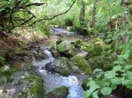 Camping - Saint-Julien-Labrousse - Rhône-Alpes - La Chazalet 