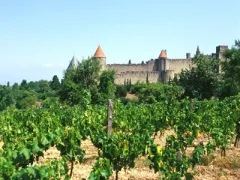 Camping - Carcassonne - Languedoc-Roussillon - La Cité