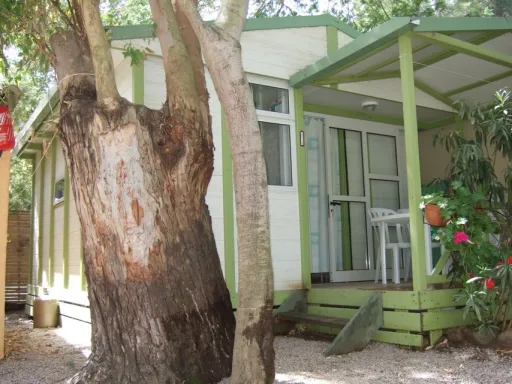 Camping - Calvi - Corse - La Clé des Champs