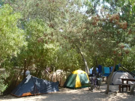 Camping - Calvi - Corse - La Clé des Champs