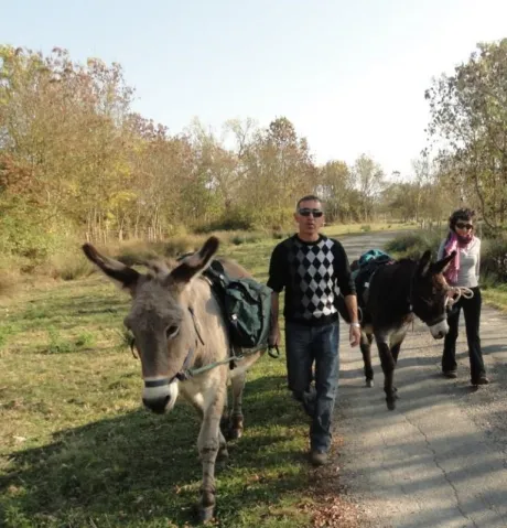 Camping - Luçon - Pays de Loire - La Clé des Champs