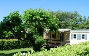 Camping - Barjac - Languedoc-Roussillon - La Combe