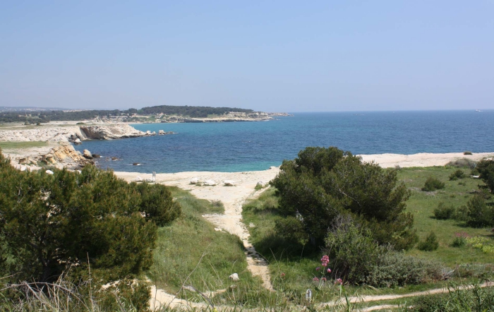 Camping - Martigues - Provence-Alpes-Côte d'Azur - L'Arquet - Côte Bleue - Image #16