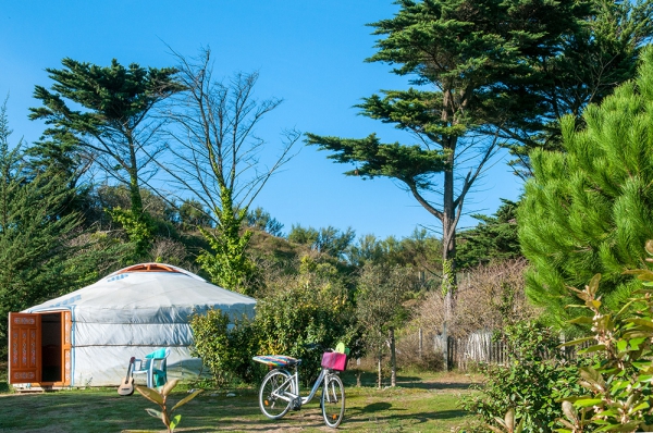 Camping - Saint-Clément-des-Baleines - Poitou-Charentes - La Côte Sauvage - Image #8