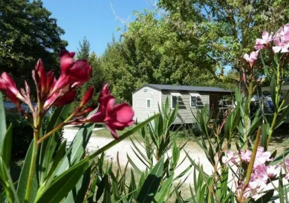 Camping - Lagnes - Provence-Alpes-Côte d'Azur - La Coutelière