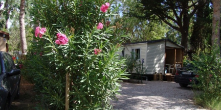Camping - Le Barcarès - Languedoc-Roussillon - La Croix du Sud - Image #8
