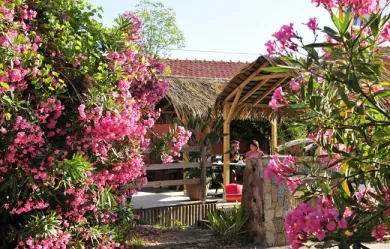 Camping - Ramatuelle - Provence-Alpes-Côte d'Azur - La Croix du Sud