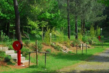 Camping - Saint-Jean-du-Gard - Languedoc-Roussillon - La Forêt
