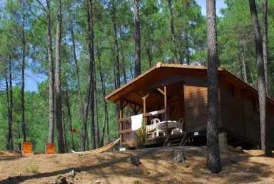Camping - Saint-Jean-du-Gard - Languedoc-Roussillon - La Forêt