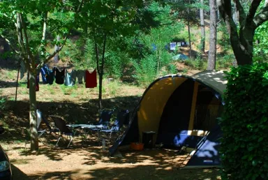 Camping - Saint-Jean-du-Gard - Languedoc-Roussillon - La Forêt