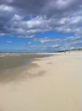 Camping - Cucq - Nord-Pas de Calais - La Forêt