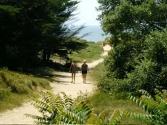 Camping - Saint-Jean-de-Monts - Pays de Loire - La Forêt