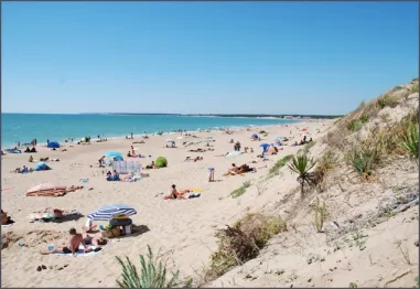 Camping - Longeville sur Mer - Pays de Loire - la Frétille