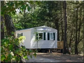 Camping - Olonne-sur-Mer - Pays de Loire - La Gachère