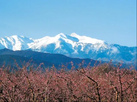 Camping - Néfiach - Languedoc-Roussillon - La Garenne