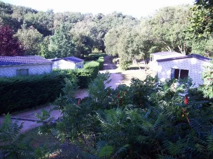 Camping - Loubressac - Midi-Pyrénées - La Garrigue